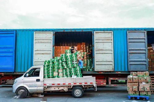 菜鸟物流提速 全国24小时达加速落地，21省乡村物流启动“车管家”服务